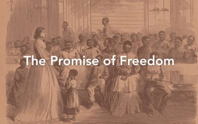 We Kept Building Anyway